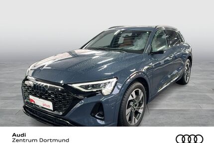 Audi Q8 e-tron Gebrauchtwagen