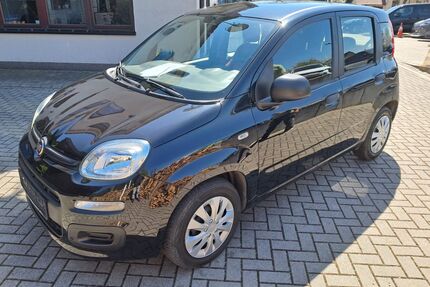 Fiat Panda Gebrauchtwagen