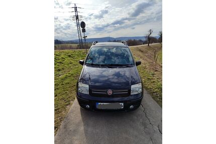 Fiat Panda Gebrauchtwagen