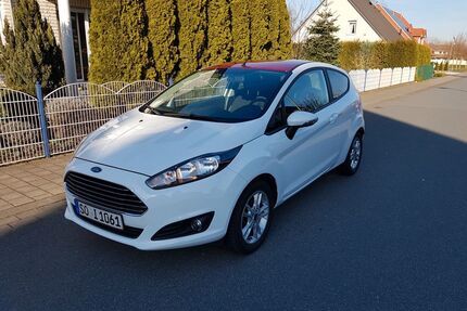 Ford Fiesta Gebrauchtwagen
