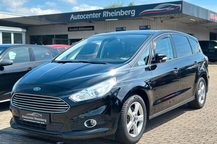 Ford S-Max Gebrauchtwagen