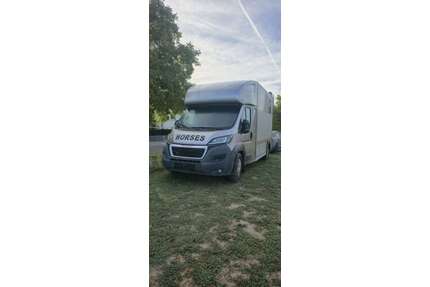 Peugeot Boxer Gebrauchtwagen