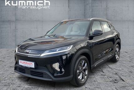 BYD ATTO 2 Gebrauchtwagen