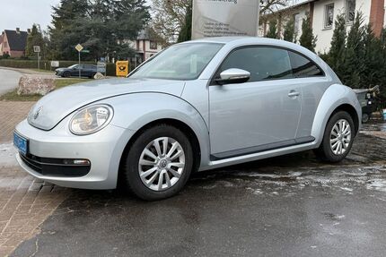 VW Beetle Gebrauchtwagen