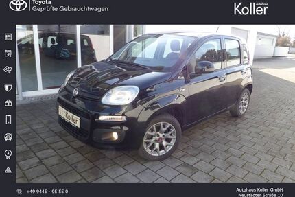 Fiat Panda Gebrauchtwagen