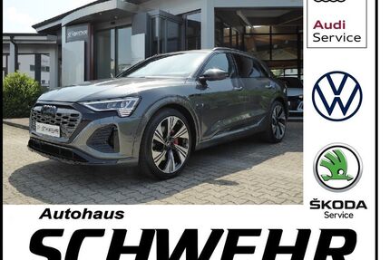 Audi Q8 e-tron Gebrauchtwagen