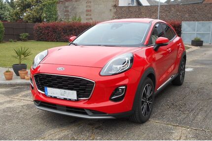 Ford Puma Gebrauchtwagen