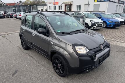 Fiat Panda Gebrauchtwagen