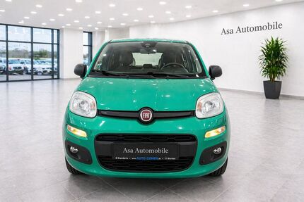 Fiat Panda Gebrauchtwagen