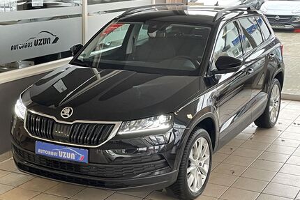 Skoda Karoq Gebrauchtwagen