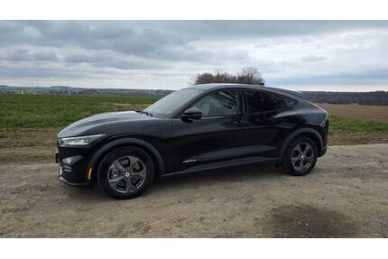 Ford Mustang Mach-E Gebrauchtwagen