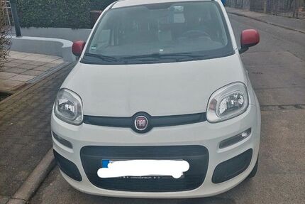 Fiat New Panda Gebrauchtwagen