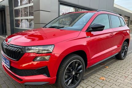Skoda Karoq Gebrauchtwagen