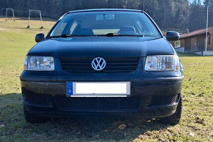 VW Polo Gebrauchtwagen