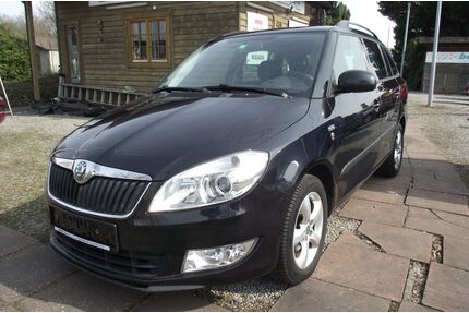 Skoda Fabia Gebrauchtwagen