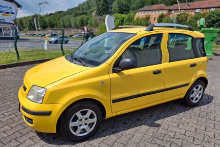 Fiat Panda Gebrauchtwagen
