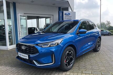 Ford Kuga Gebrauchtwagen