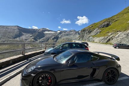 Porsche Cayman Gebrauchtwagen