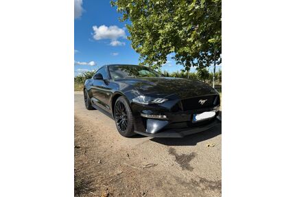 Ford Mustang Gebrauchtwagen
