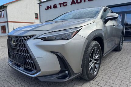 Lexus NX 450h Gebrauchtwagen