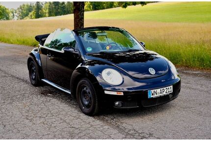 VW Beetle Gebrauchtwagen