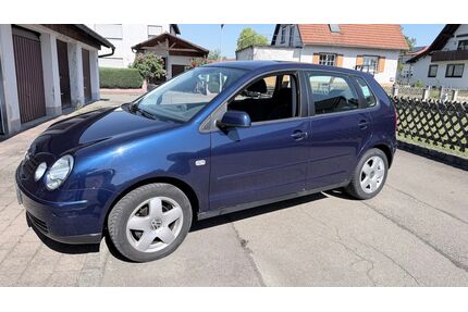 VW Polo Gebrauchtwagen