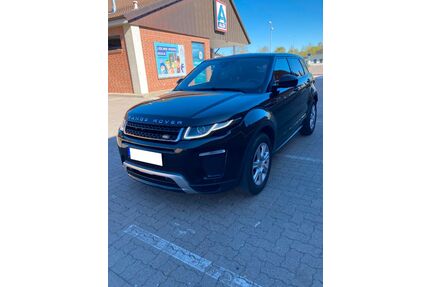 Land Rover Range Rover Evoque Gebrauchtwagen