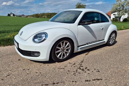 VW Beetle Gebrauchtwagen