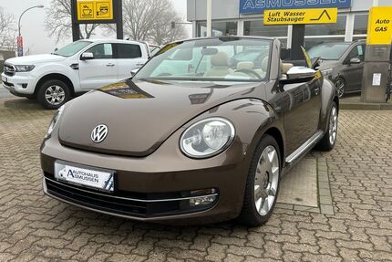 VW Beetle Gebrauchtwagen