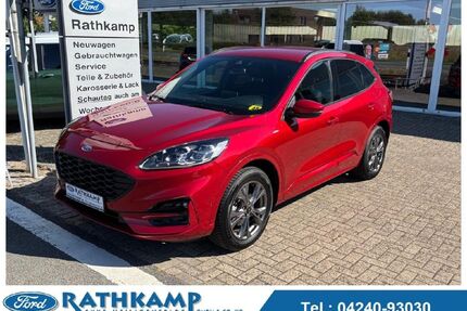 Ford Kuga Gebrauchtwagen