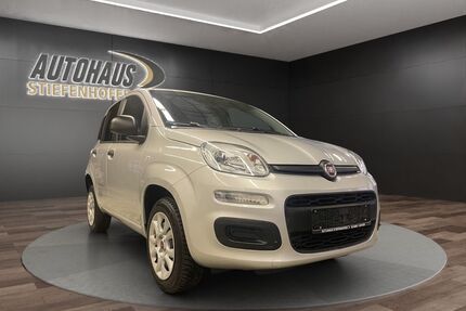 Fiat Panda Gebrauchtwagen