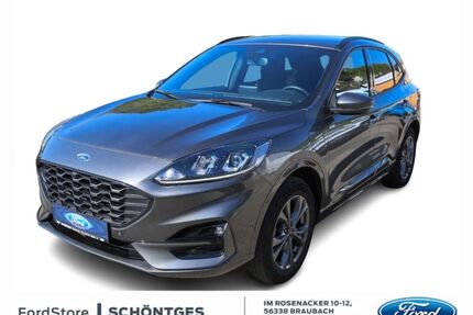 Ford Kuga Gebrauchtwagen