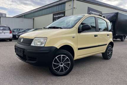 Fiat Panda Gebrauchtwagen