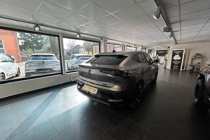 Renault Rafale Gebrauchtwagen