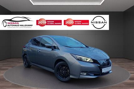 Nissan Leaf Gebrauchtwagen