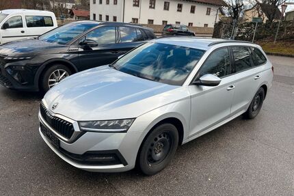 Skoda Octavia Gebrauchtwagen