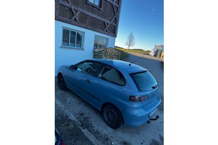 Seat Ibiza Gebrauchtwagen