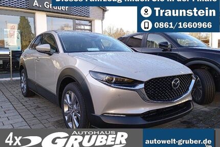 Mazda CX-30 Gebrauchtwagen