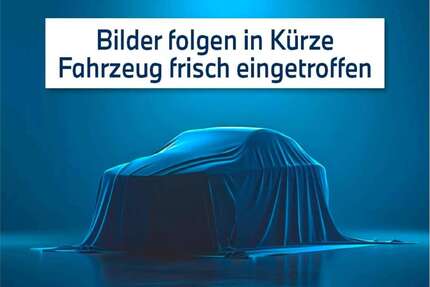 Ford Fusion Gebrauchtwagen