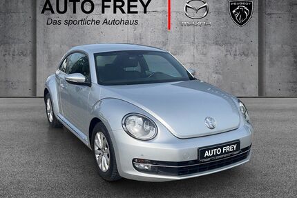 VW Beetle Gebrauchtwagen