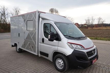Fiat Ducato Gebrauchtwagen