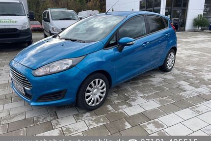 Ford Fiesta Gebrauchtwagen