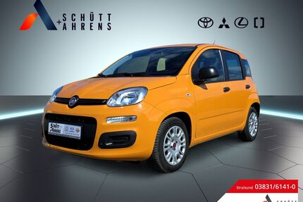 Fiat Panda Gebrauchtwagen