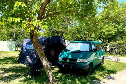 VW T4 Multivan Gebrauchtwagen