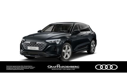 Audi Q8 e-tron Gebrauchtwagen