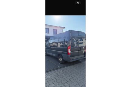 Fiat Ducato Gebrauchtwagen