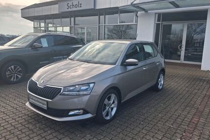 Skoda Fabia Gebrauchtwagen