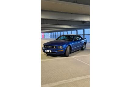 Ford Mustang Gebrauchtwagen