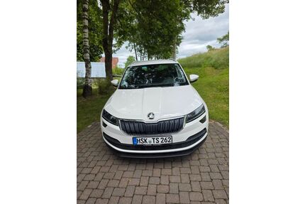 Skoda Karoq Gebrauchtwagen