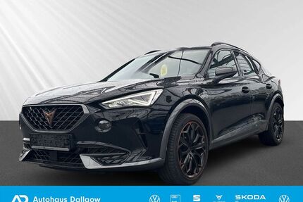 Cupra Formentor Gebrauchtwagen